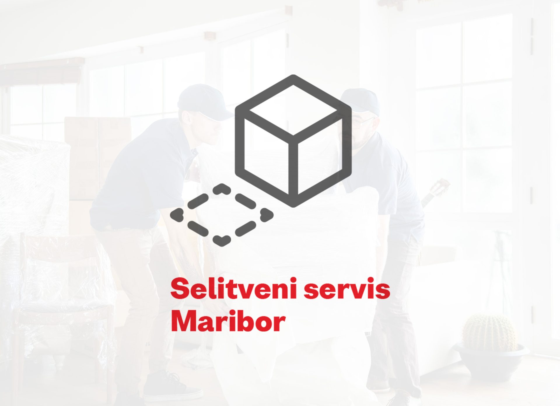Digitalna preobrazba Selitvenega servisa Maribor 2 izdelava logotipa selitveni servis